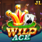 Wild Ace ph22 login registration slot